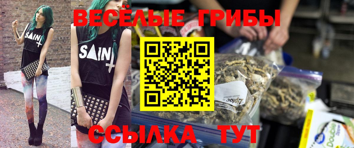 Нижний Тагил  Галлюциногенные грибы ЛСД  Галлюциногенные грибы Magic Shrooms  Вход с VPN 